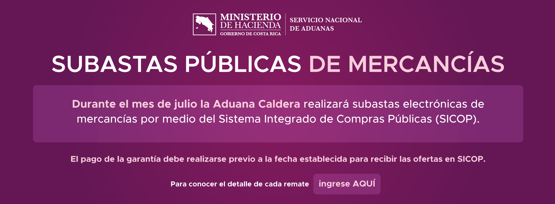  Subastas de mercancias Aduanas julio 2026 
