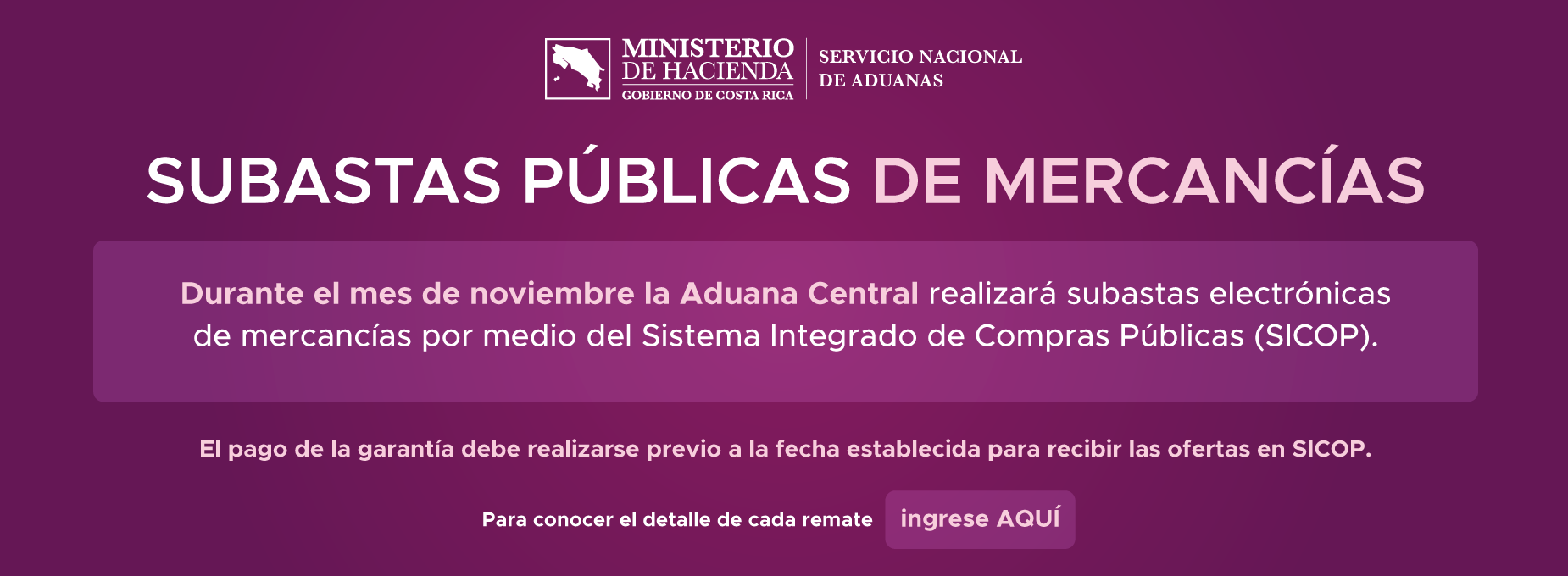  Subastas de mercancias Aduanas noviembre 2026 